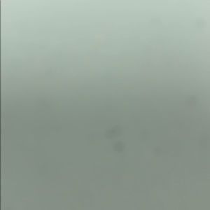 Meet your Posher, Jared